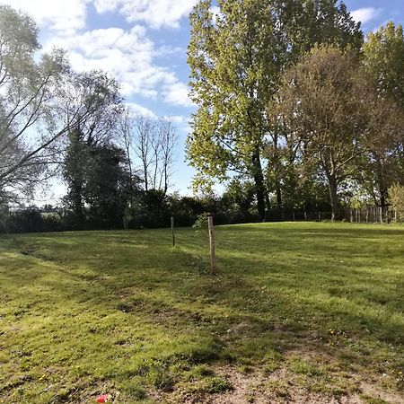 Foret De Nieppe Merville  Εξωτερικό φωτογραφία